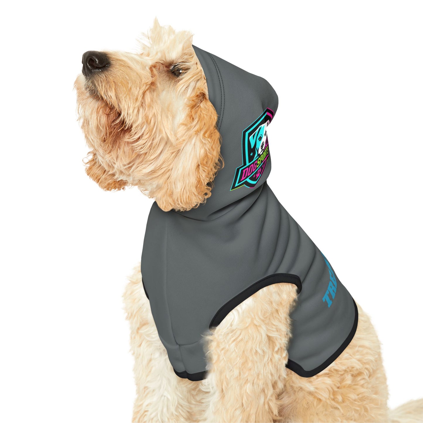 Dog Hoodie - Treat Keeper #1